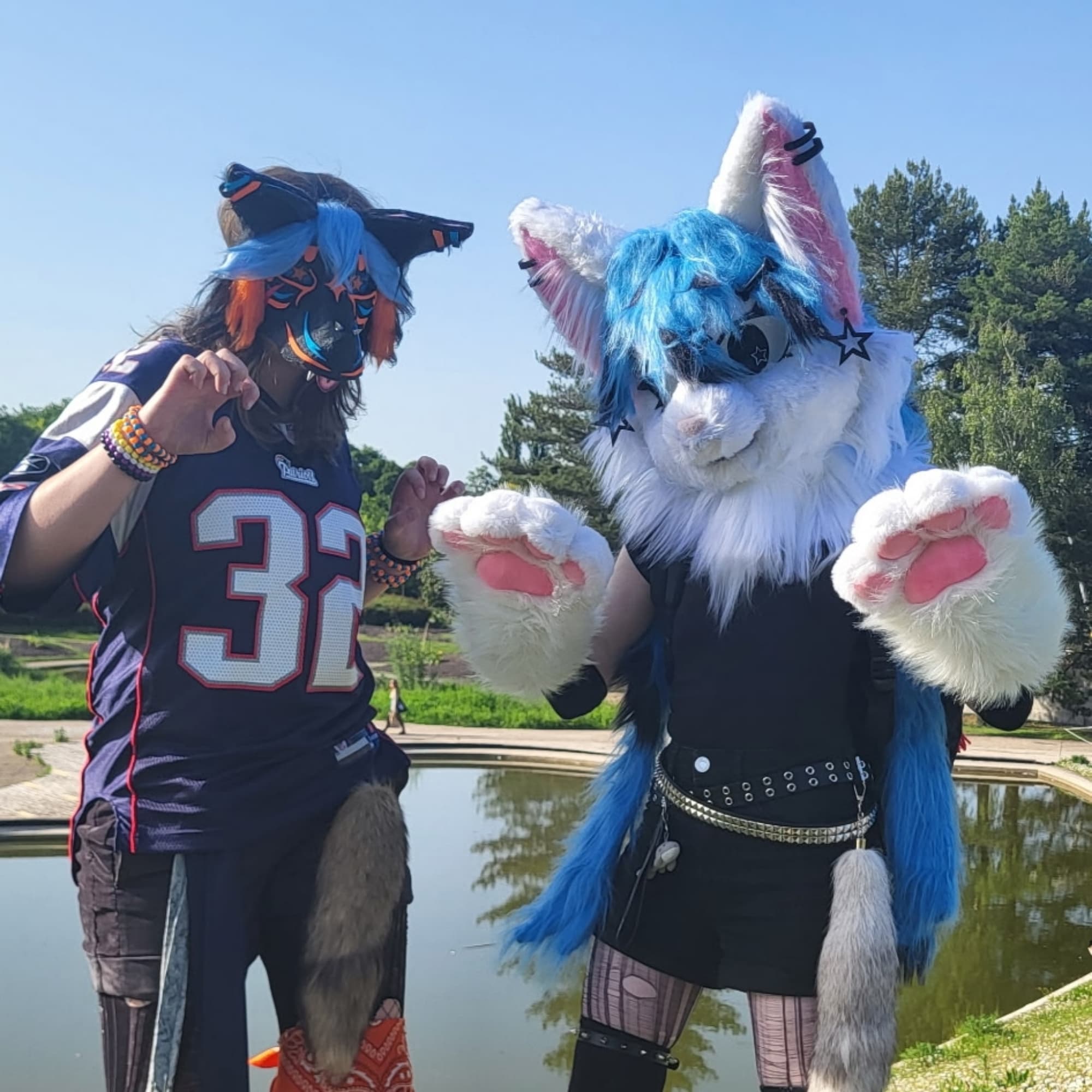 Fursuit