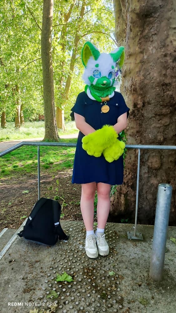 Debut du printemps  - Photo 5