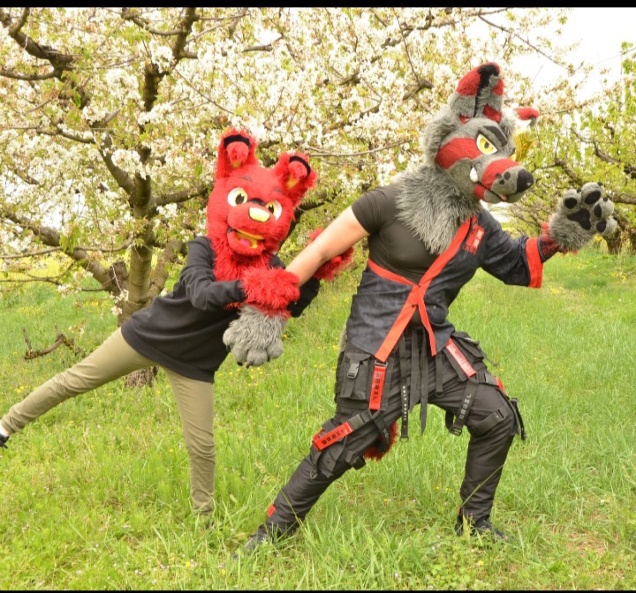 Nicko & Hatsu - Photo 4