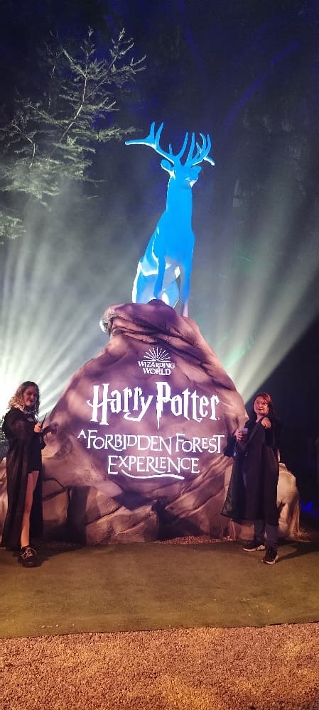 La forêt interdite - Photo 4