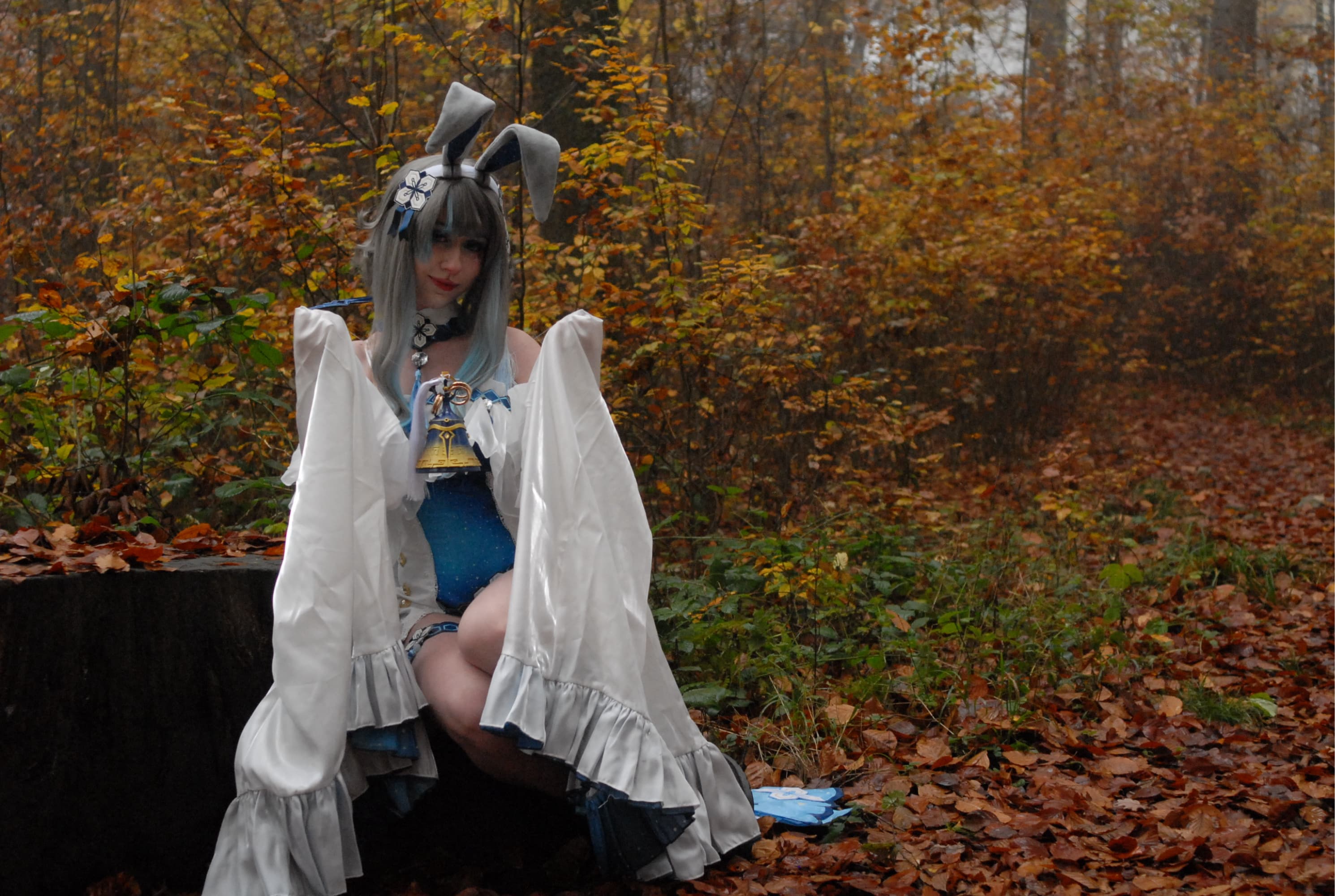 Guizhong Bunny - Photo 7