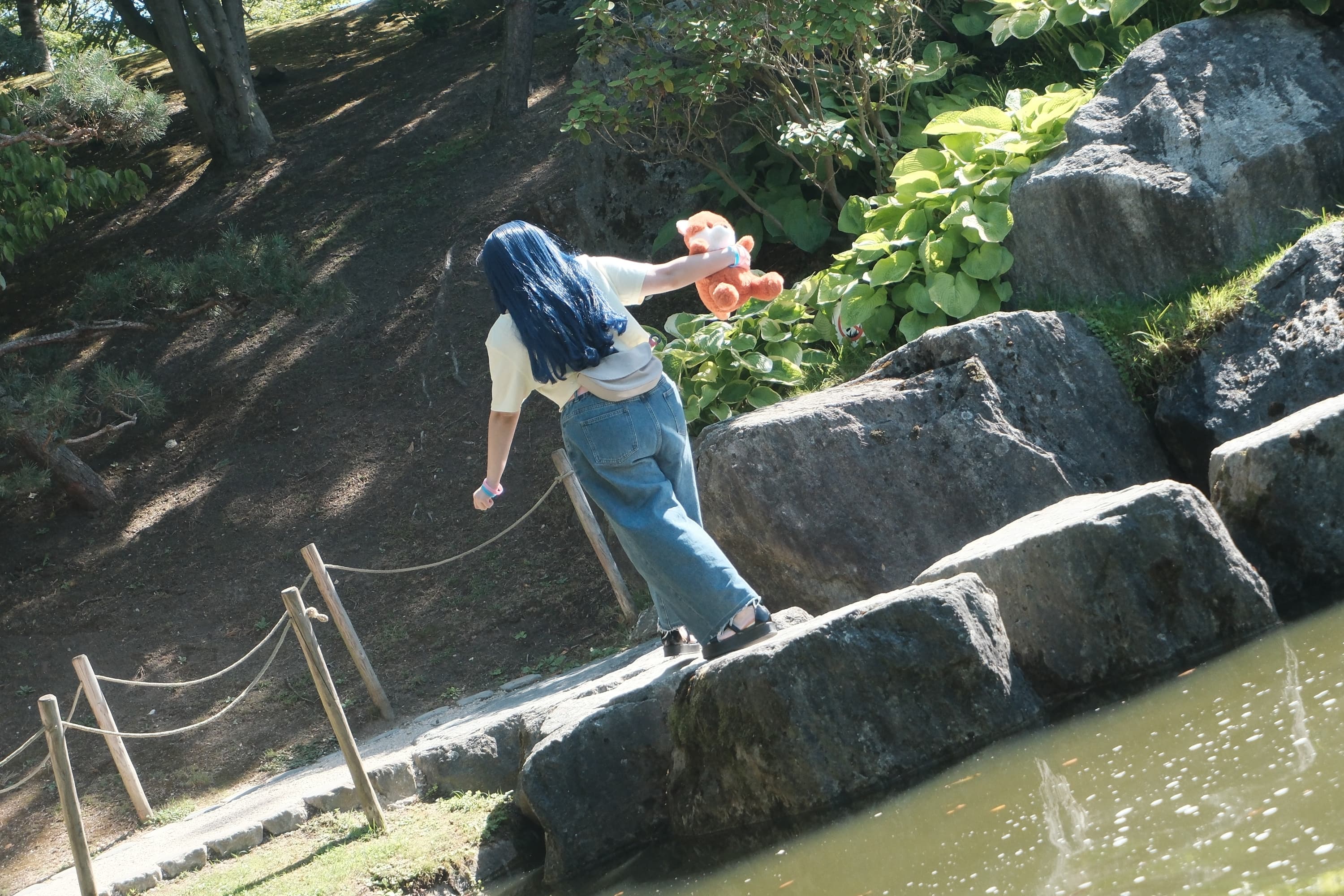 Himawari  - Photo 45