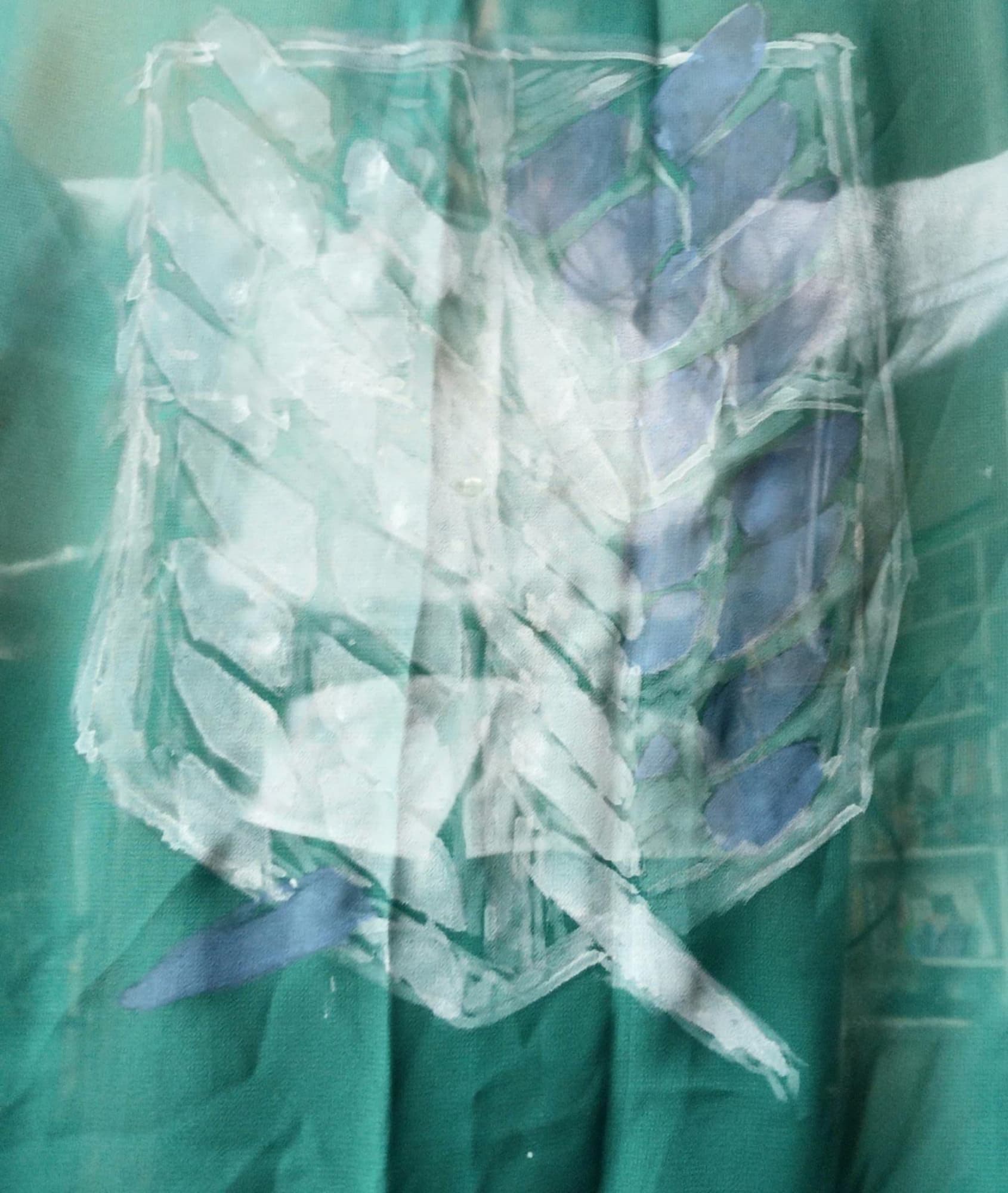 OC snk Shiro Akerman