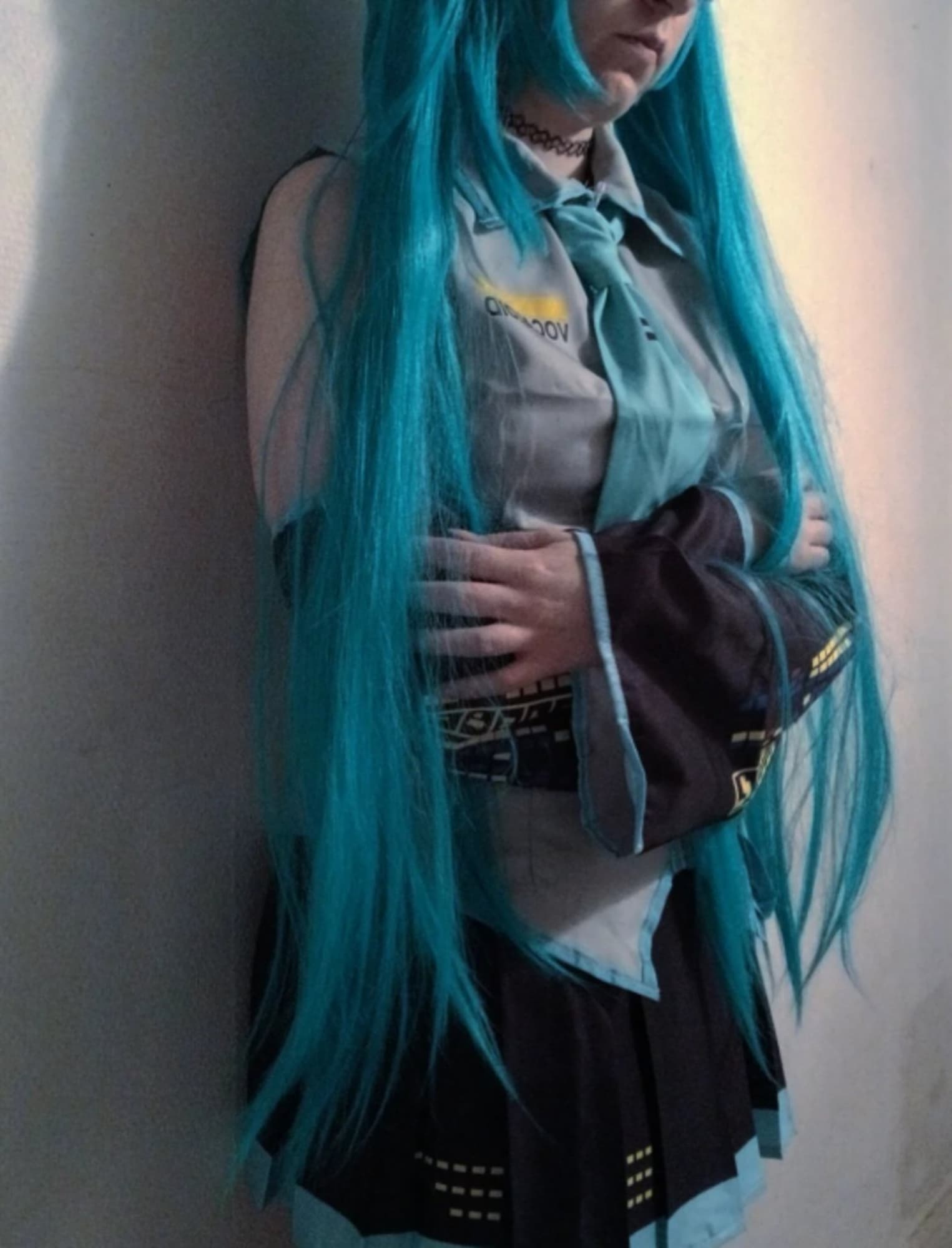 Hatsune miku  - Photo 3