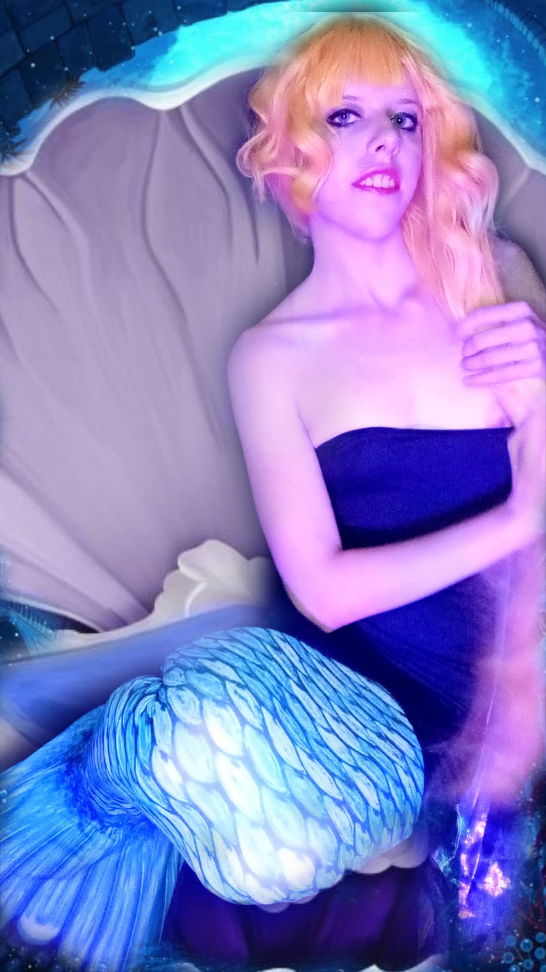 Angel Fish  - Photo 2