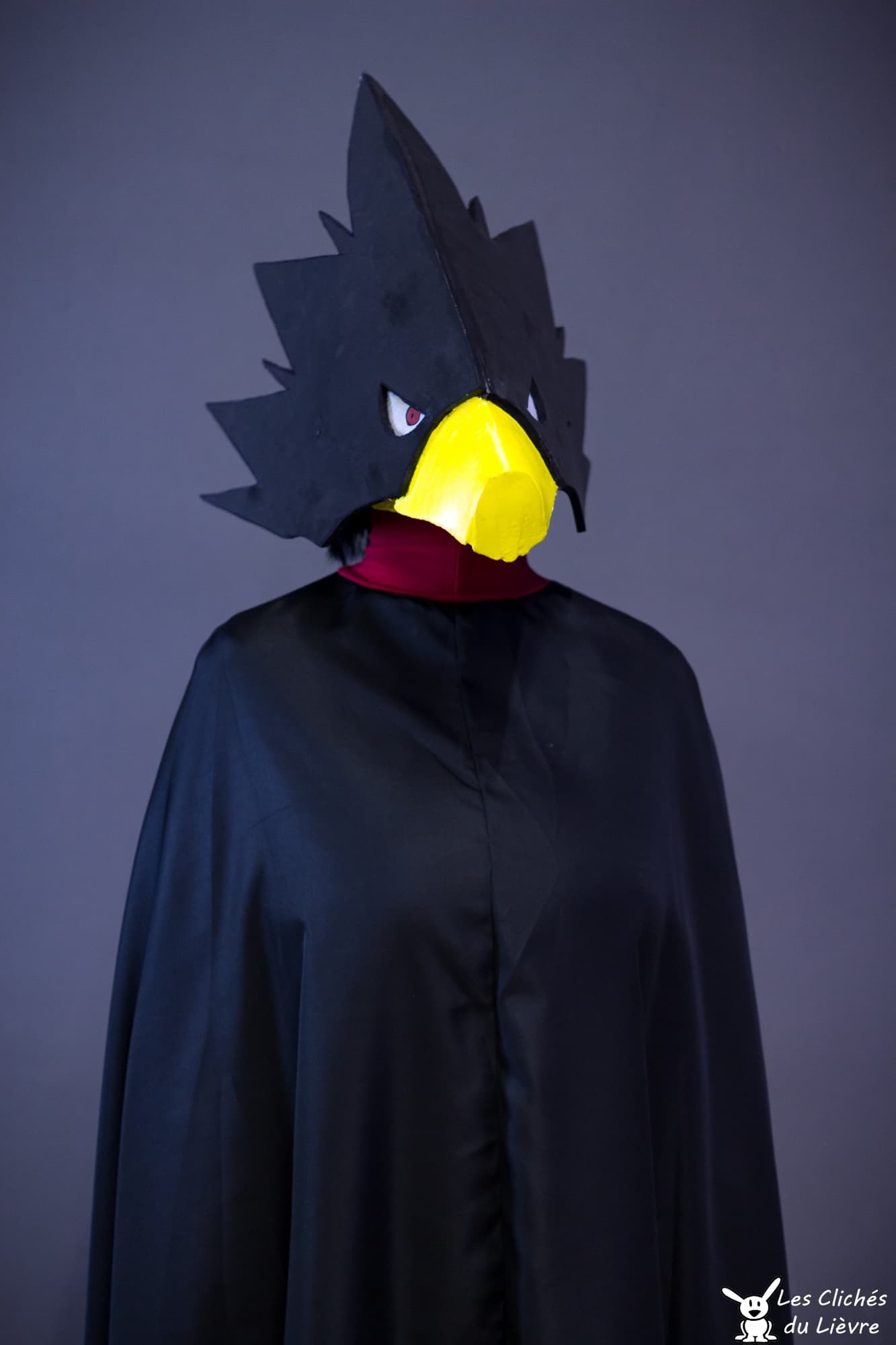 Tokoyami - Kamoplay - Photo 1