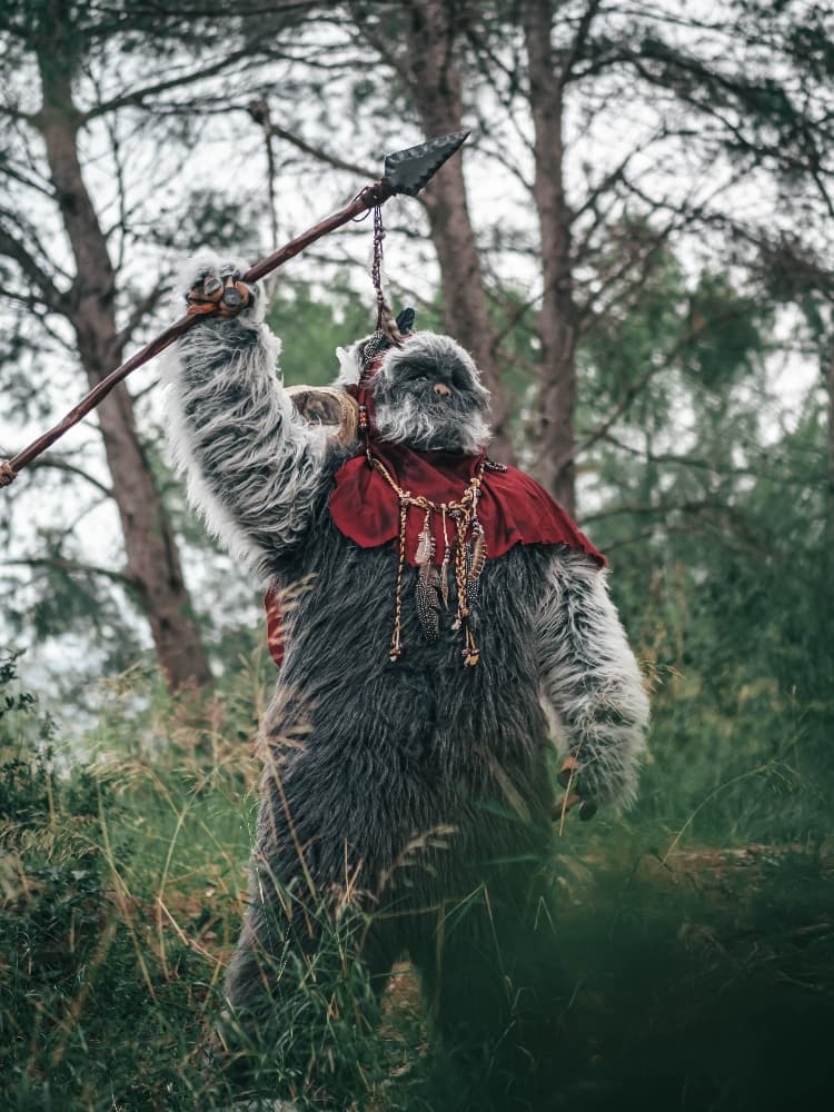 Forest Shooting - Photo 11