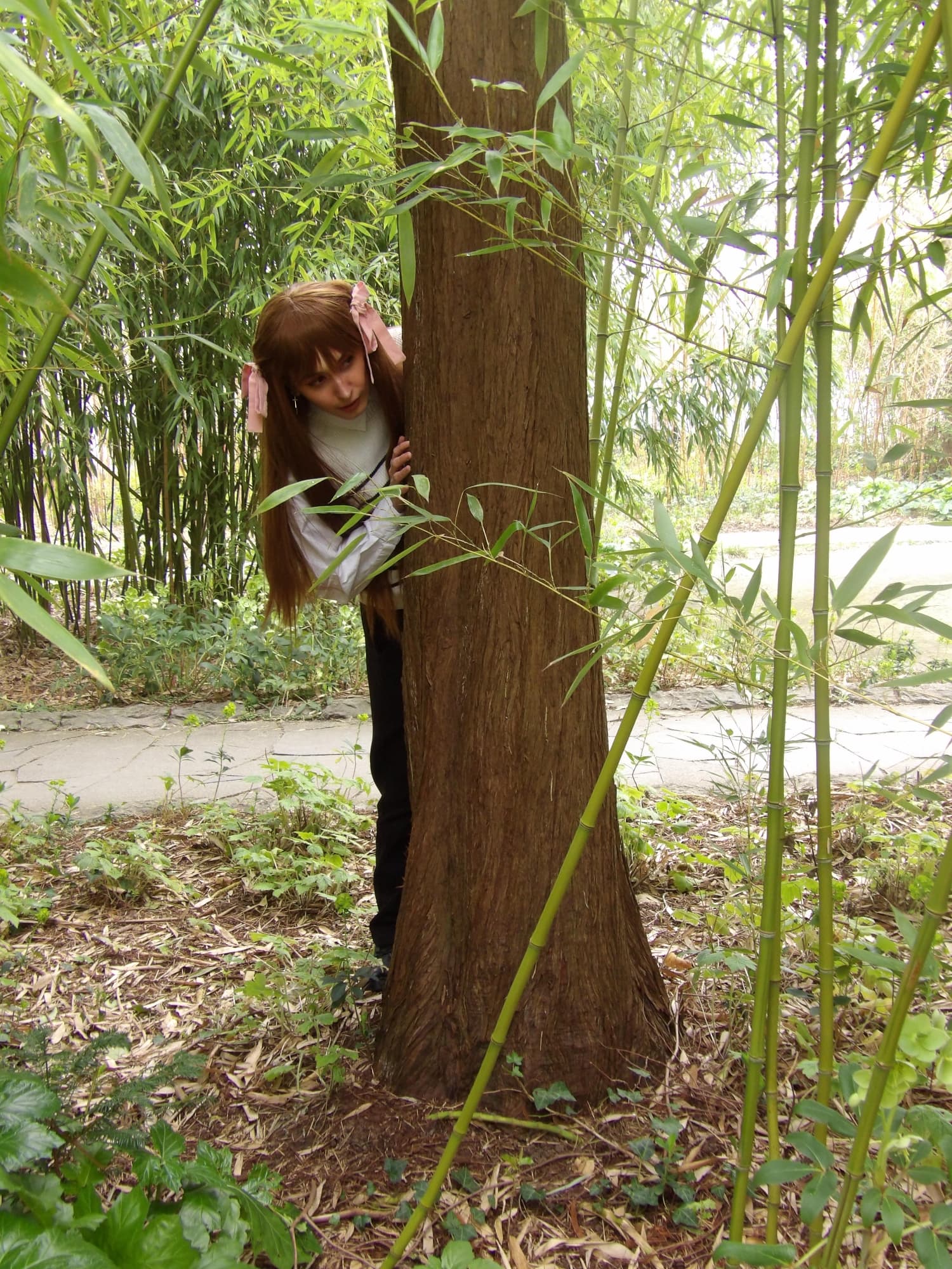 Tohru Honda  - Photo 37