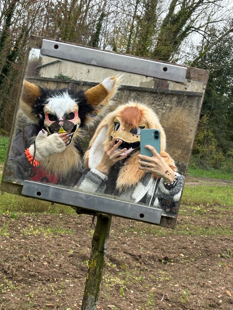 Photos Tapioca - Photo 28