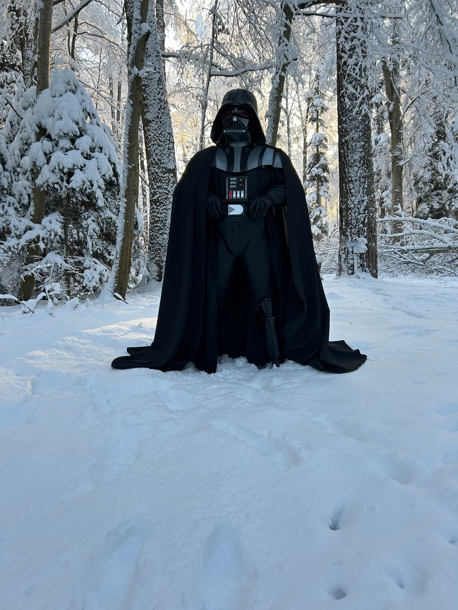 Snow Vader - Photo 40