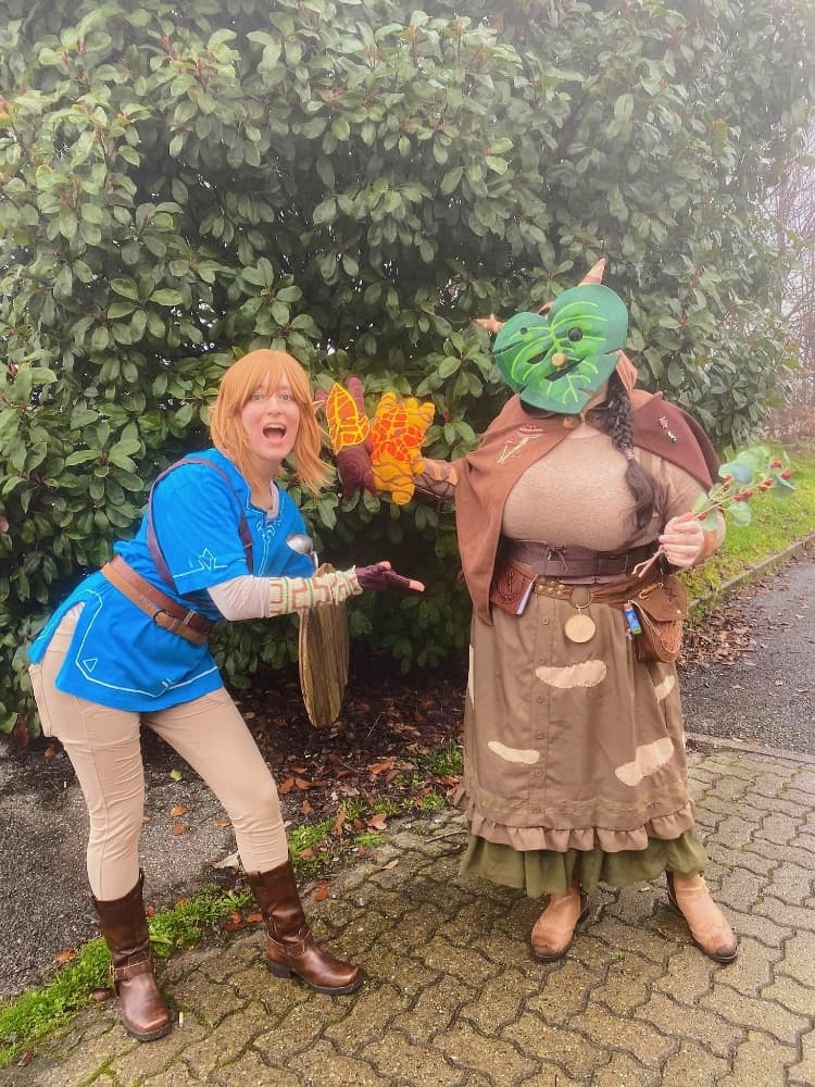 Link (Botw) - Photo 30