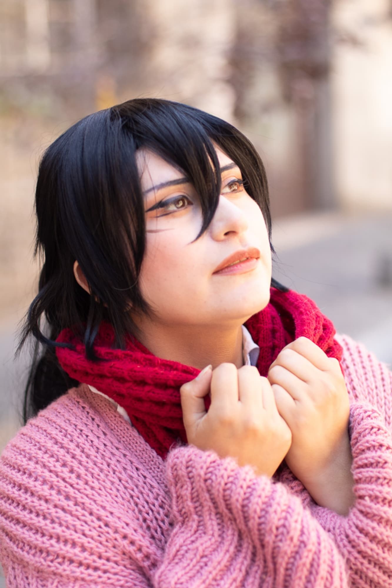 Mikasa final - Photo 1