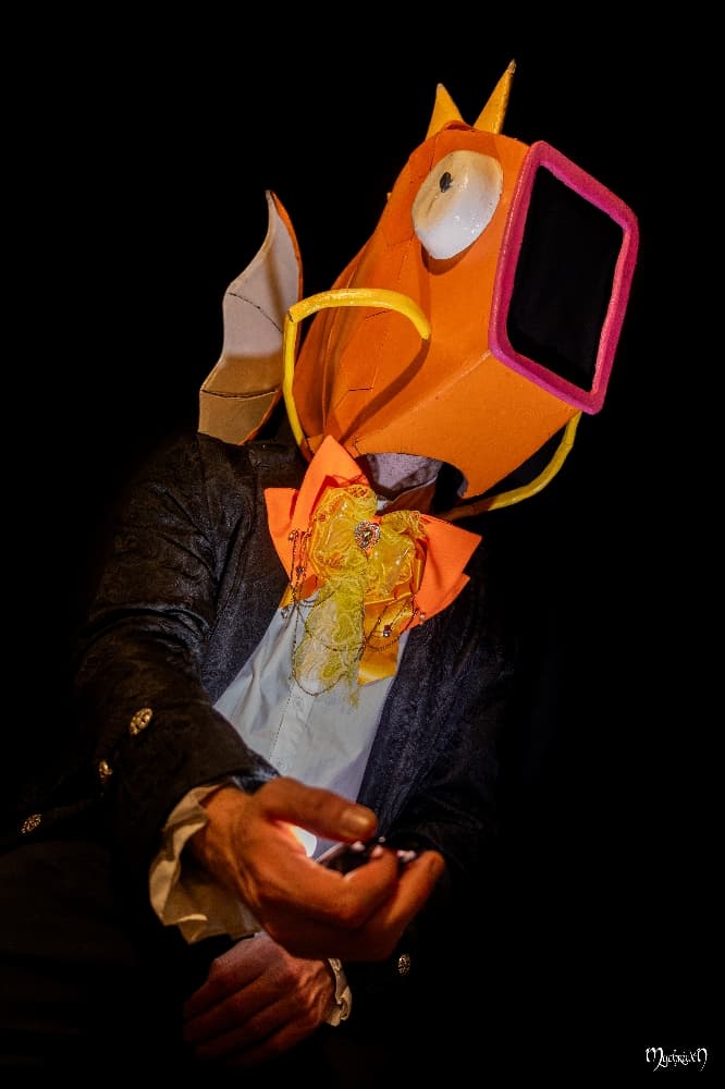 Lordgicarpe de nuit - Photo 1