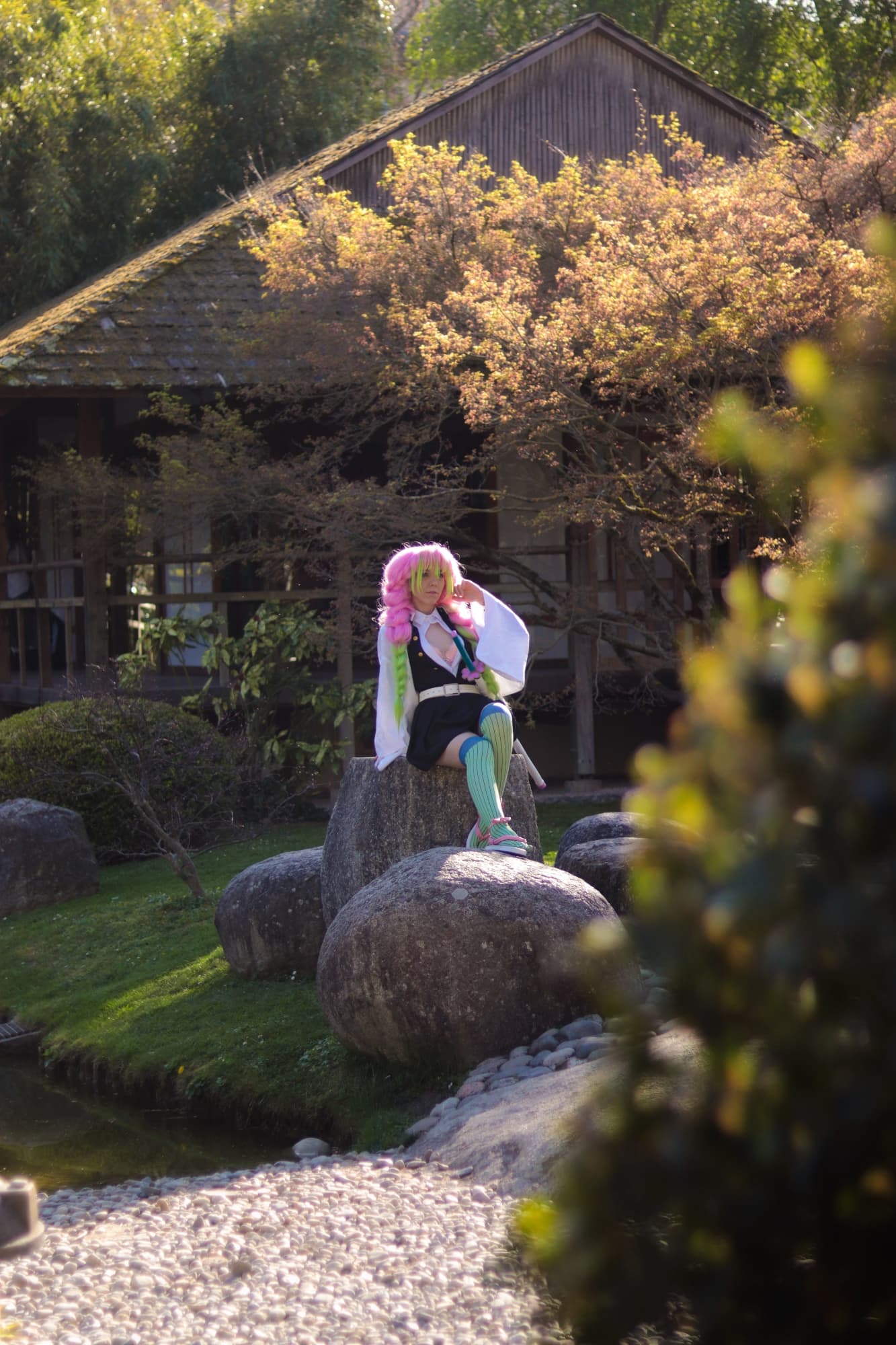 Mitsuri kanroji - Photo 1