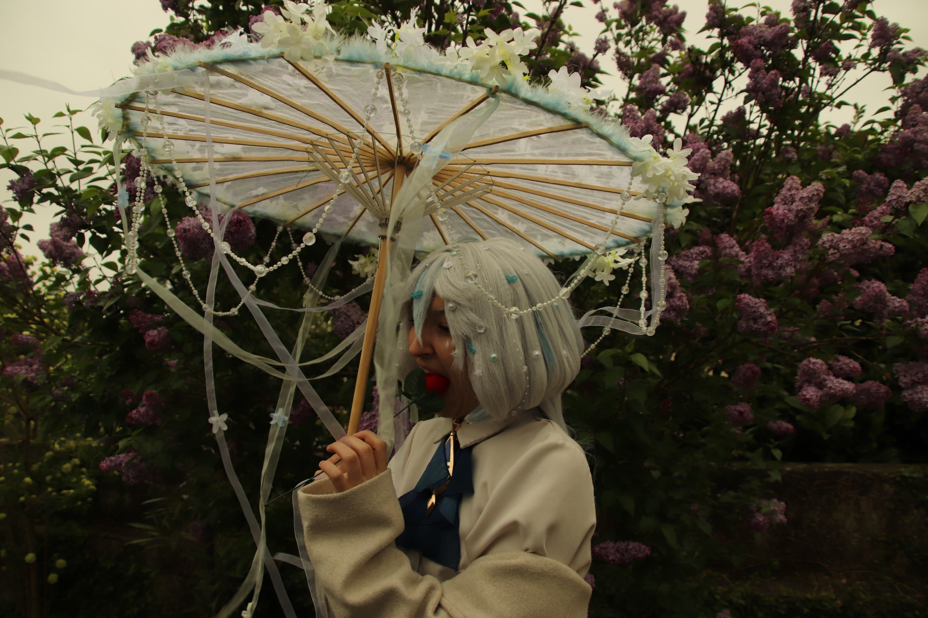 Furina - Photo 5