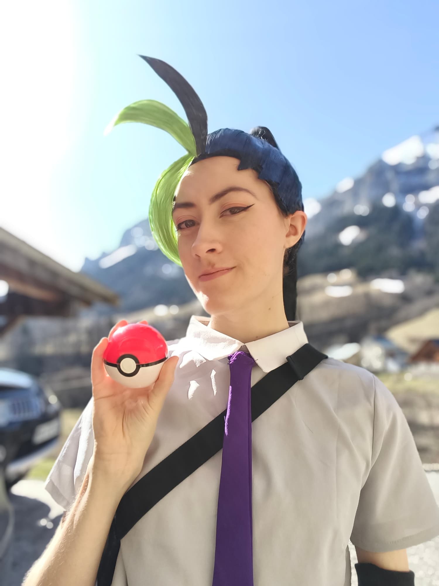 Menzi (V1) P2 - Photo 10