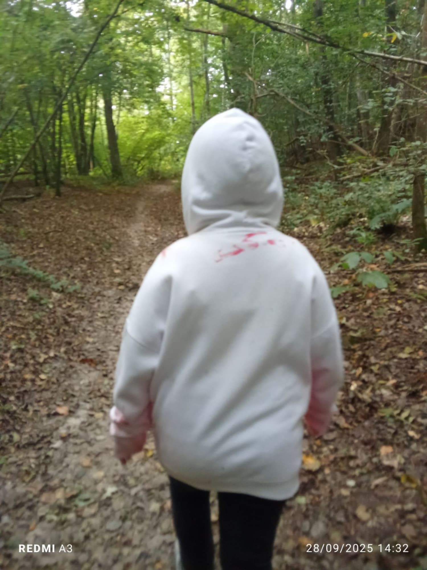 Jeff the killer - Photo 17