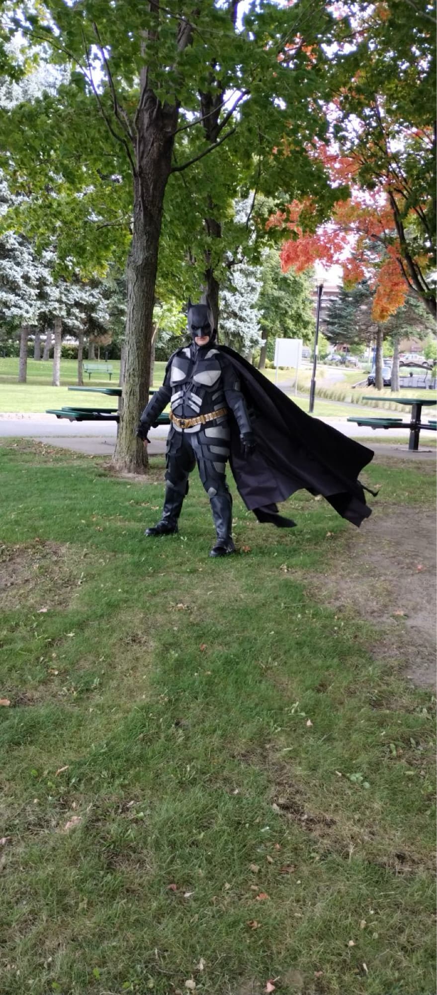 Batman TDK - Photo 11