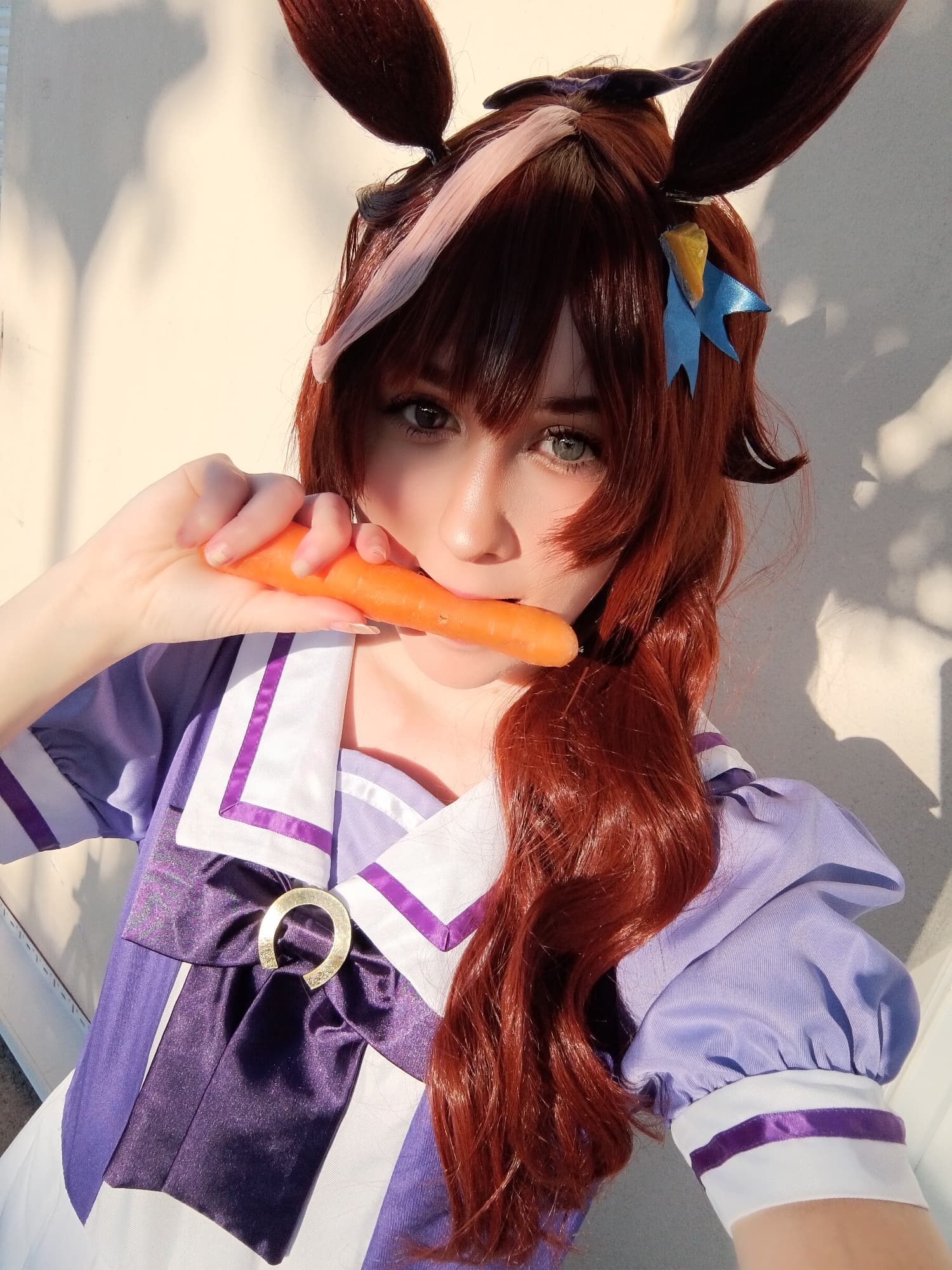 Tokai teio  - Photo 3