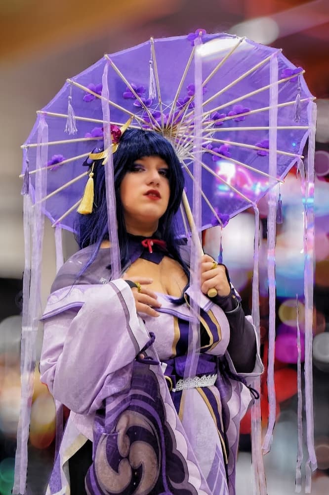 Raiden Shogun - Photo 4