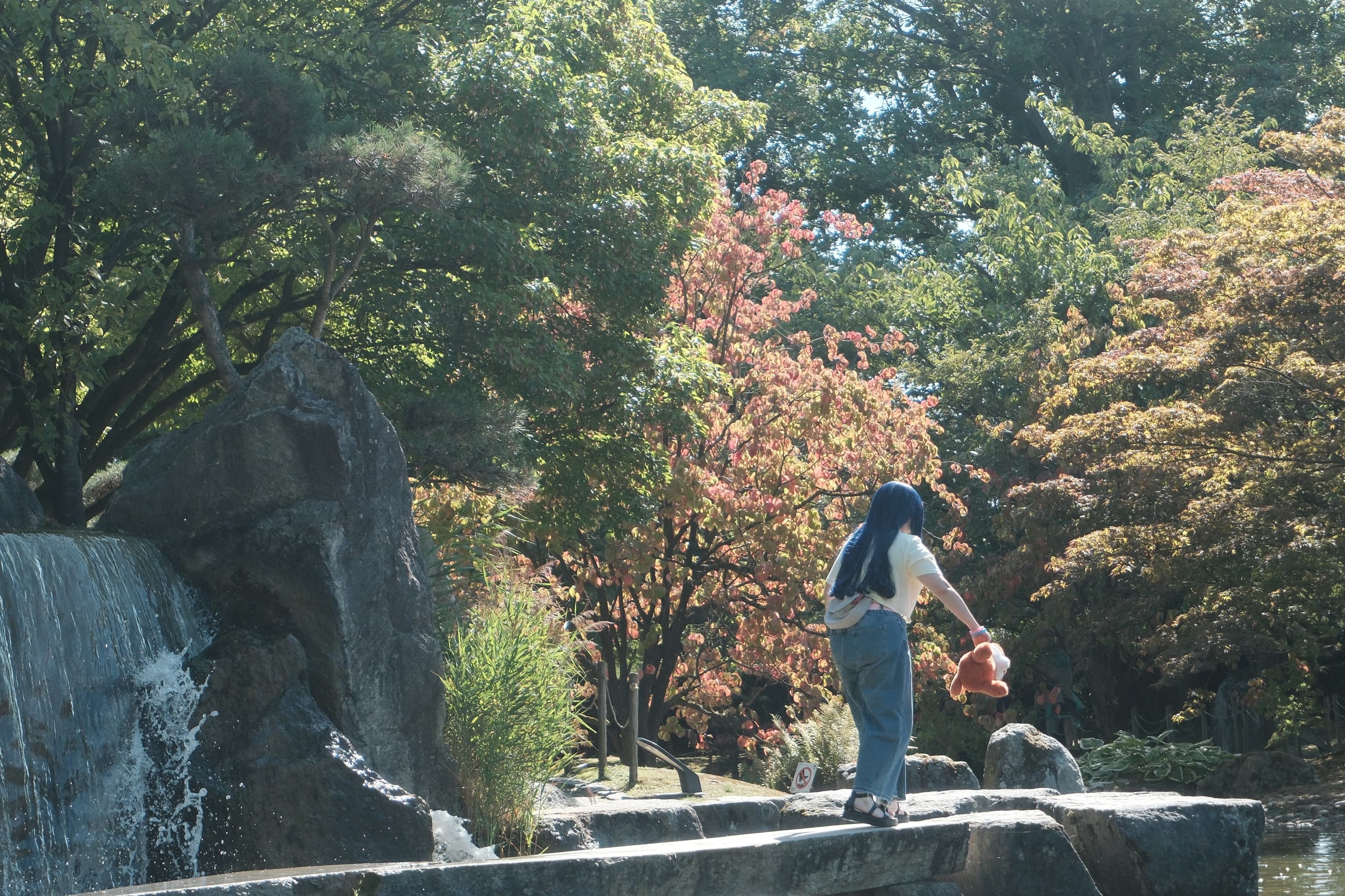 Himawari  - Photo 10