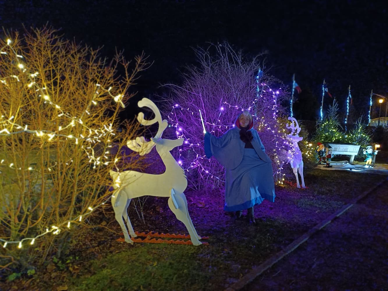 Bonne fée de Noël  - Photo 2