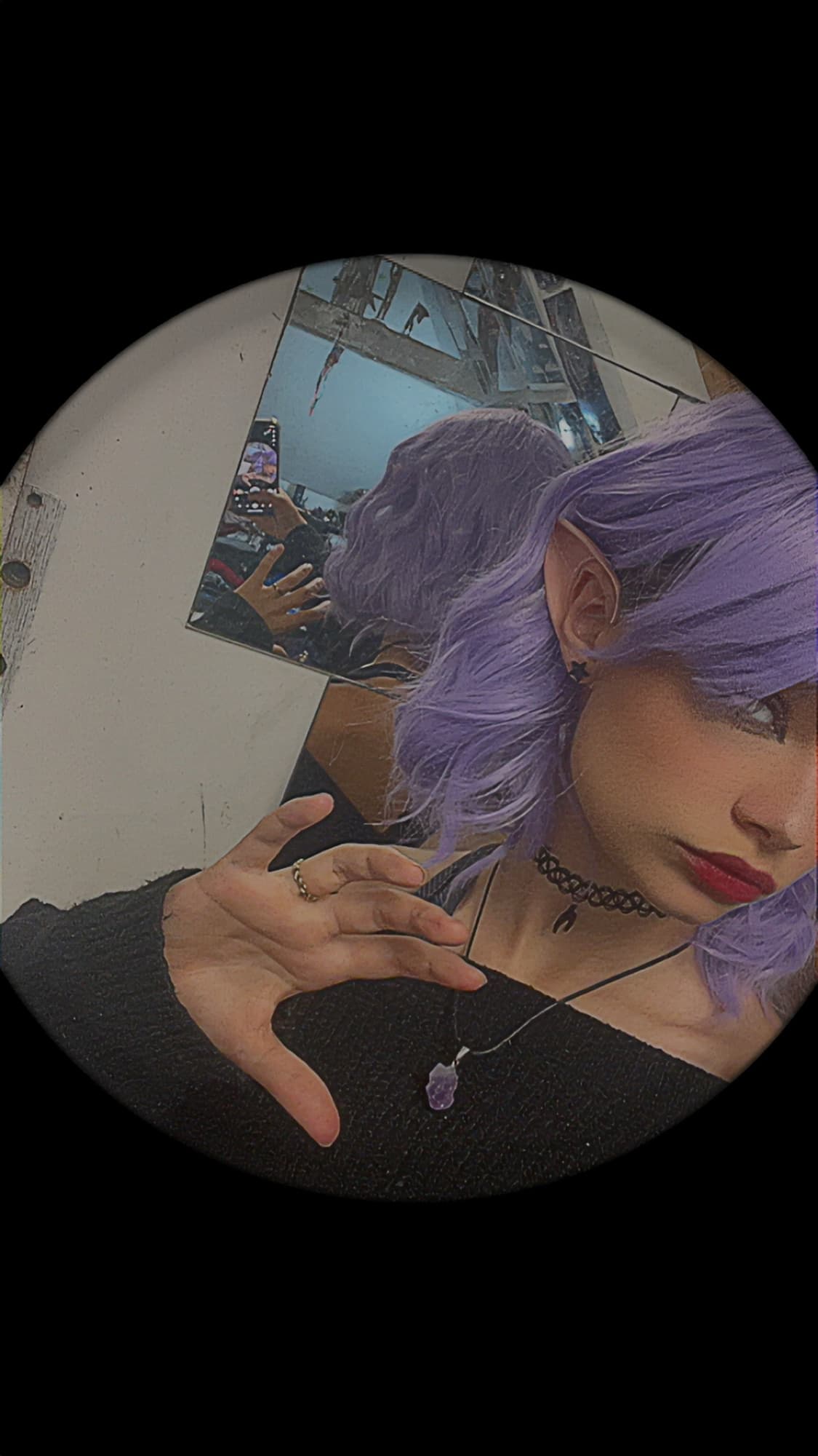 Amity blight  - Photo 5