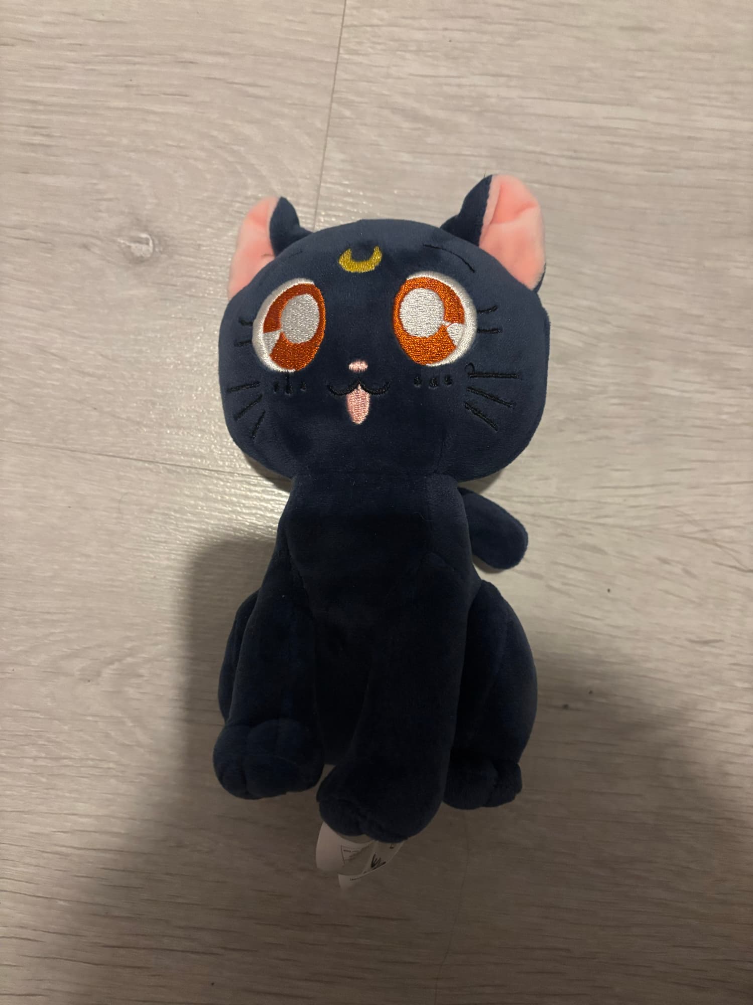 Chat (Sailor moon) - Photo 6