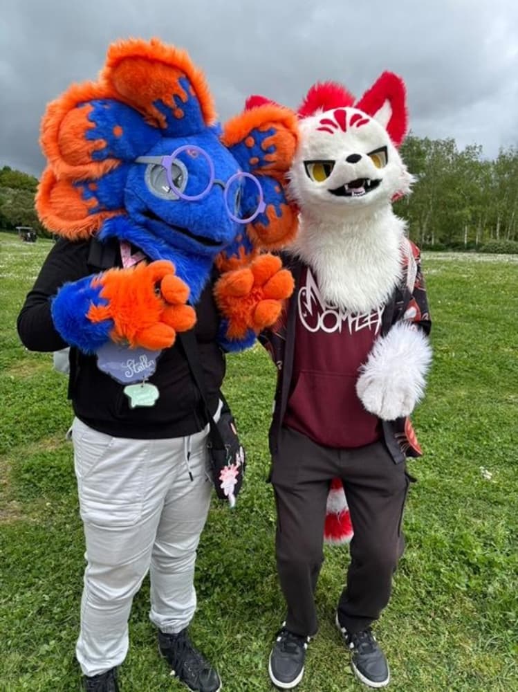 Stellar à japanante - Photo 7