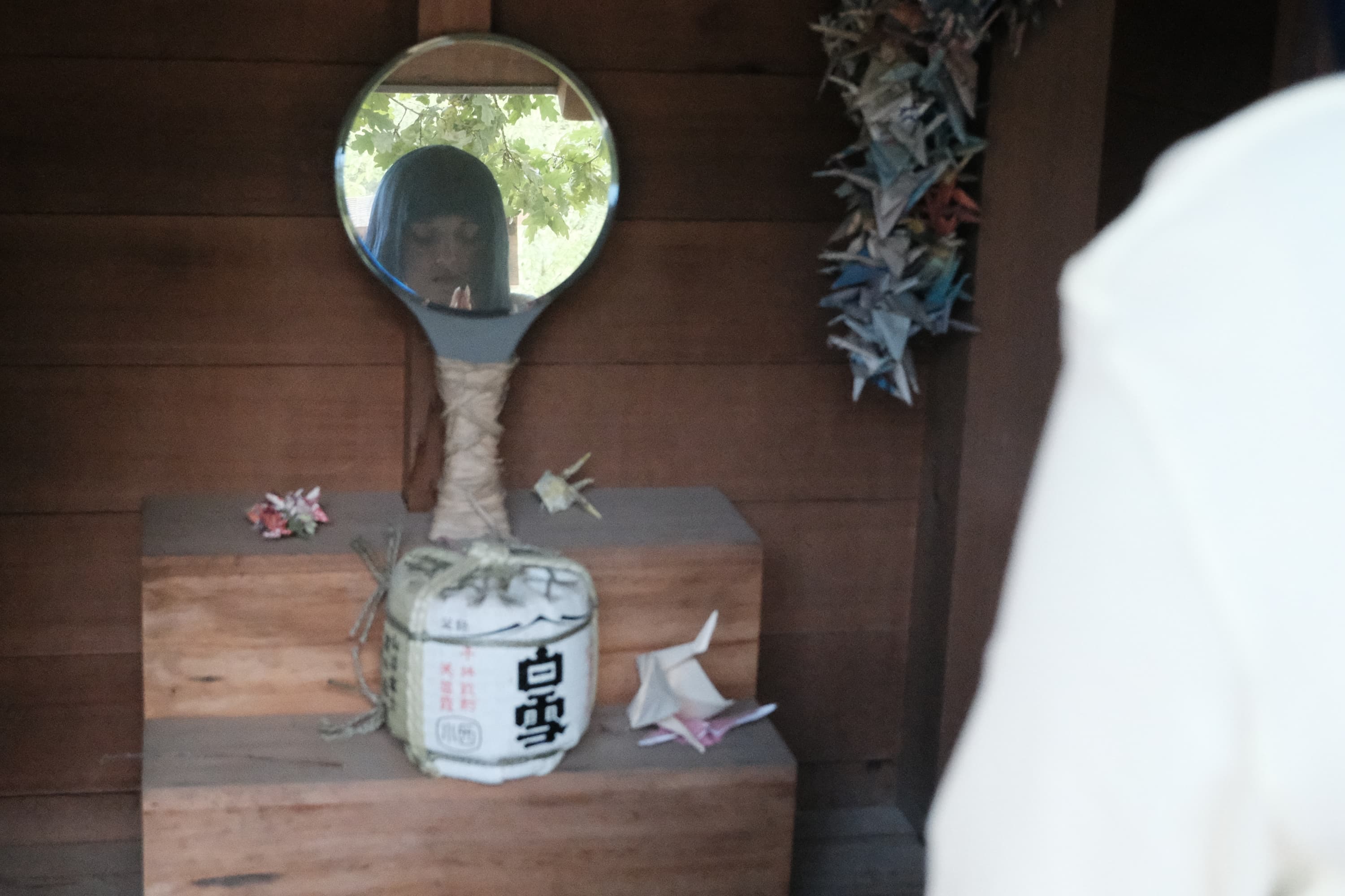 Himawari  - Photo 39