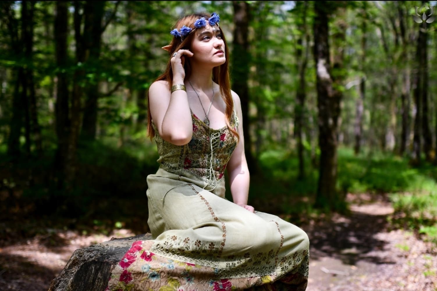 Elerinna broceliande - Photo 4