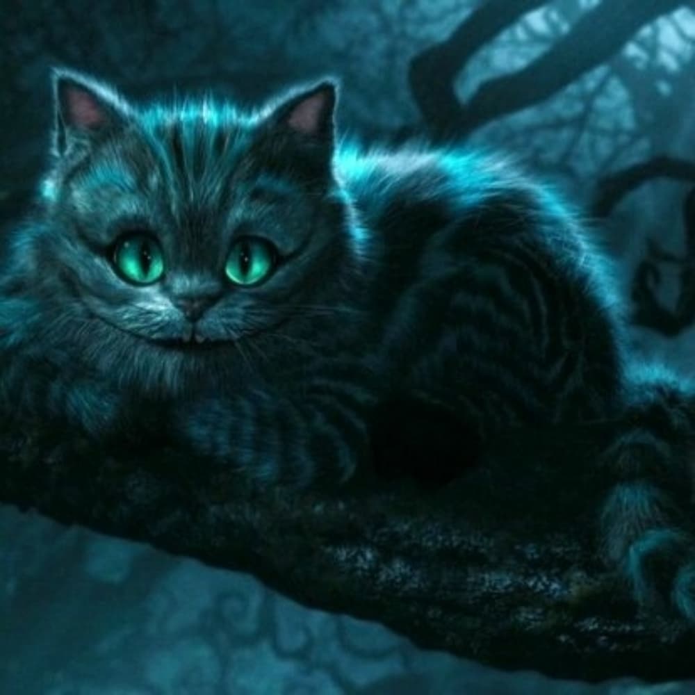 Chat du Cheshire 