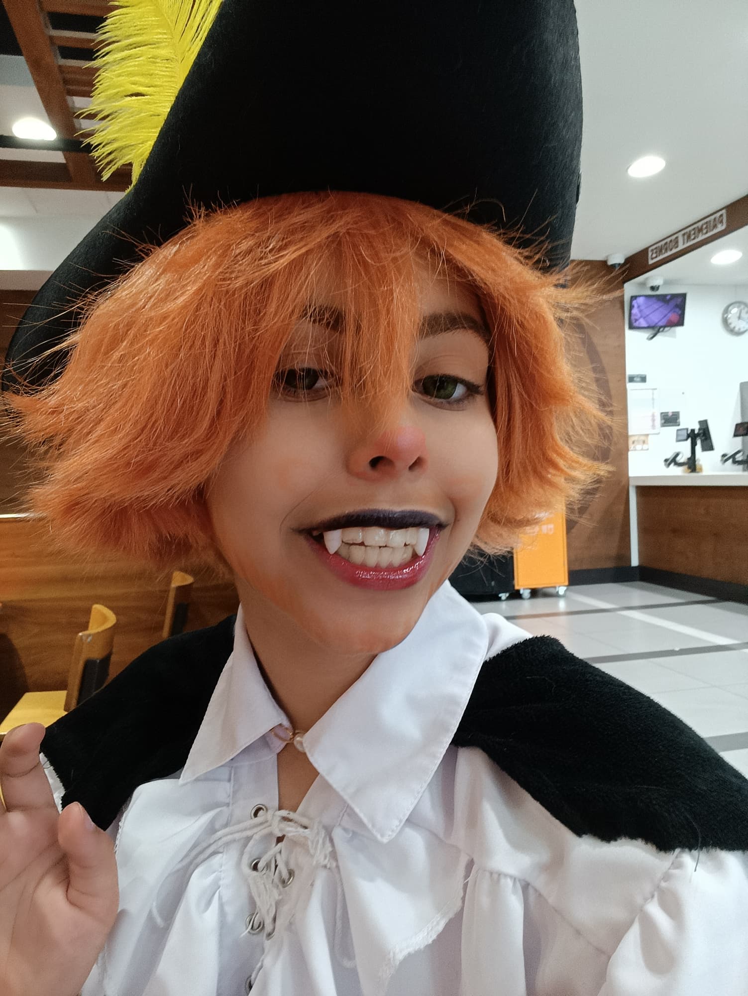 Chat Potté  - Photo 3