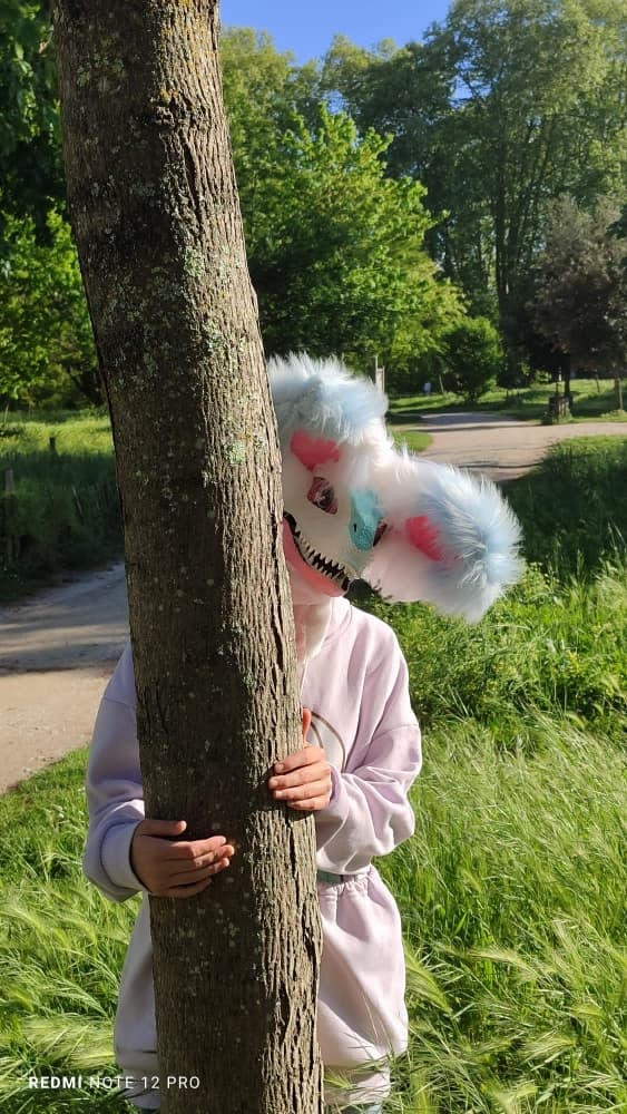 Debut du printemps  - Photo 11