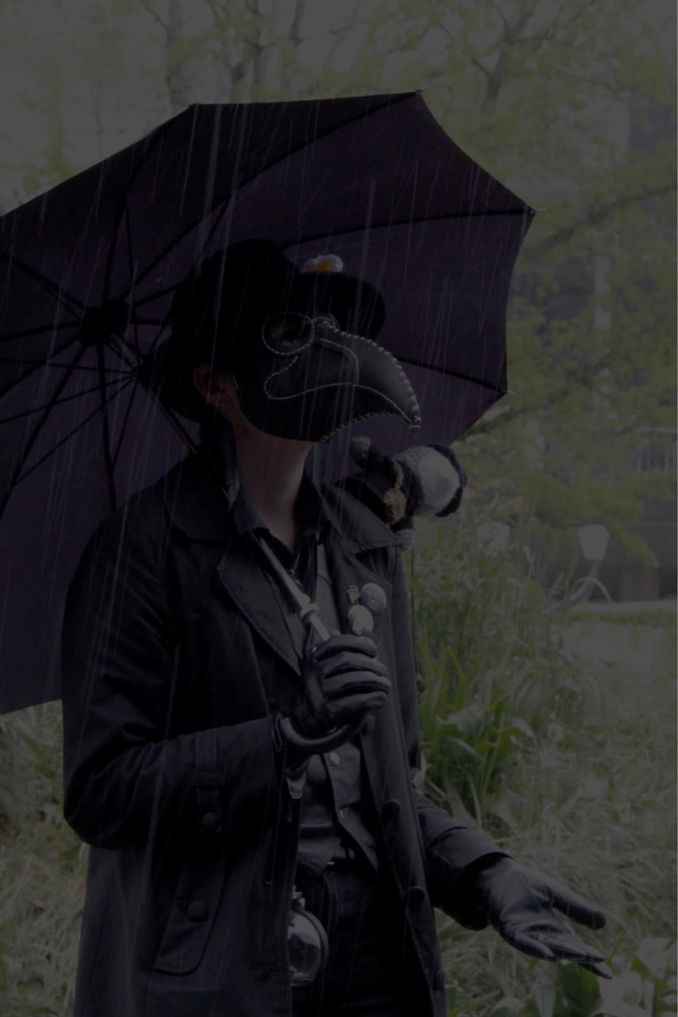 Pesty - polymanga  - Photo 2