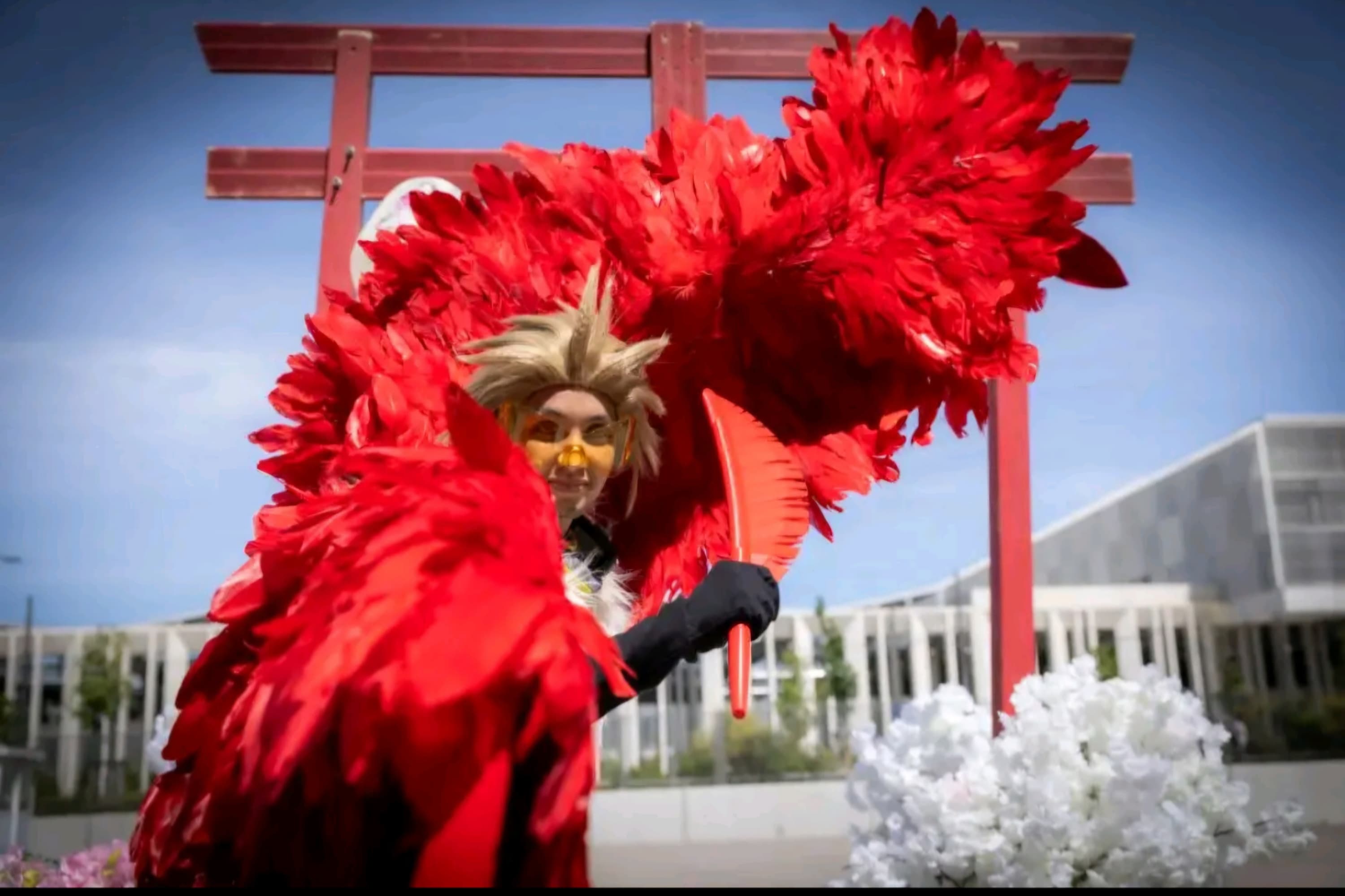 Hawks  - Photo 18