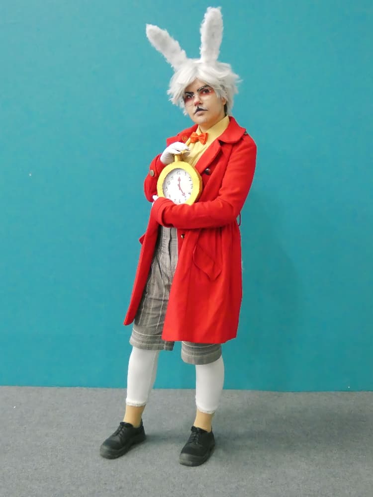 Lapin Blanc - Photo 1