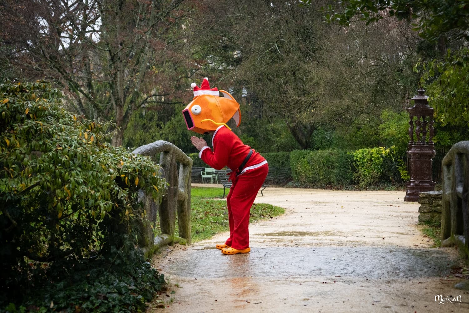 A l'approche de Noël - Photo 4