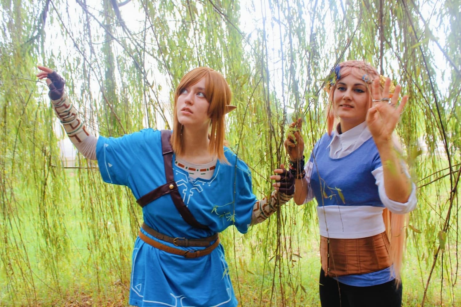 Link (Botw) - Photo 16