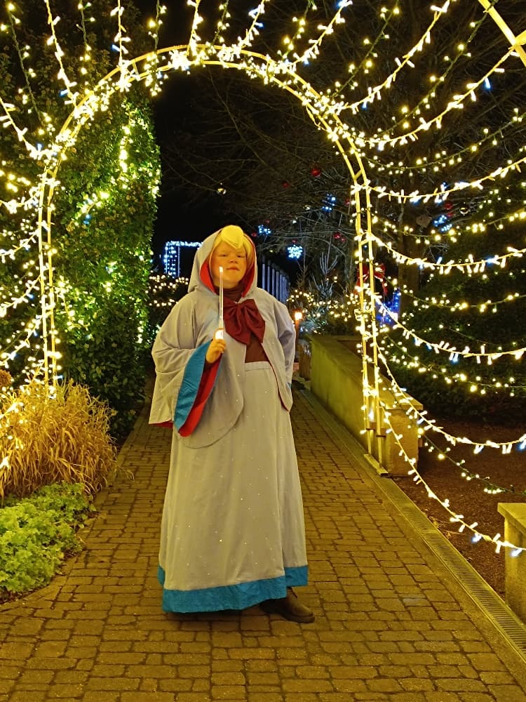 Bonne fée de Noël  - Photo 17