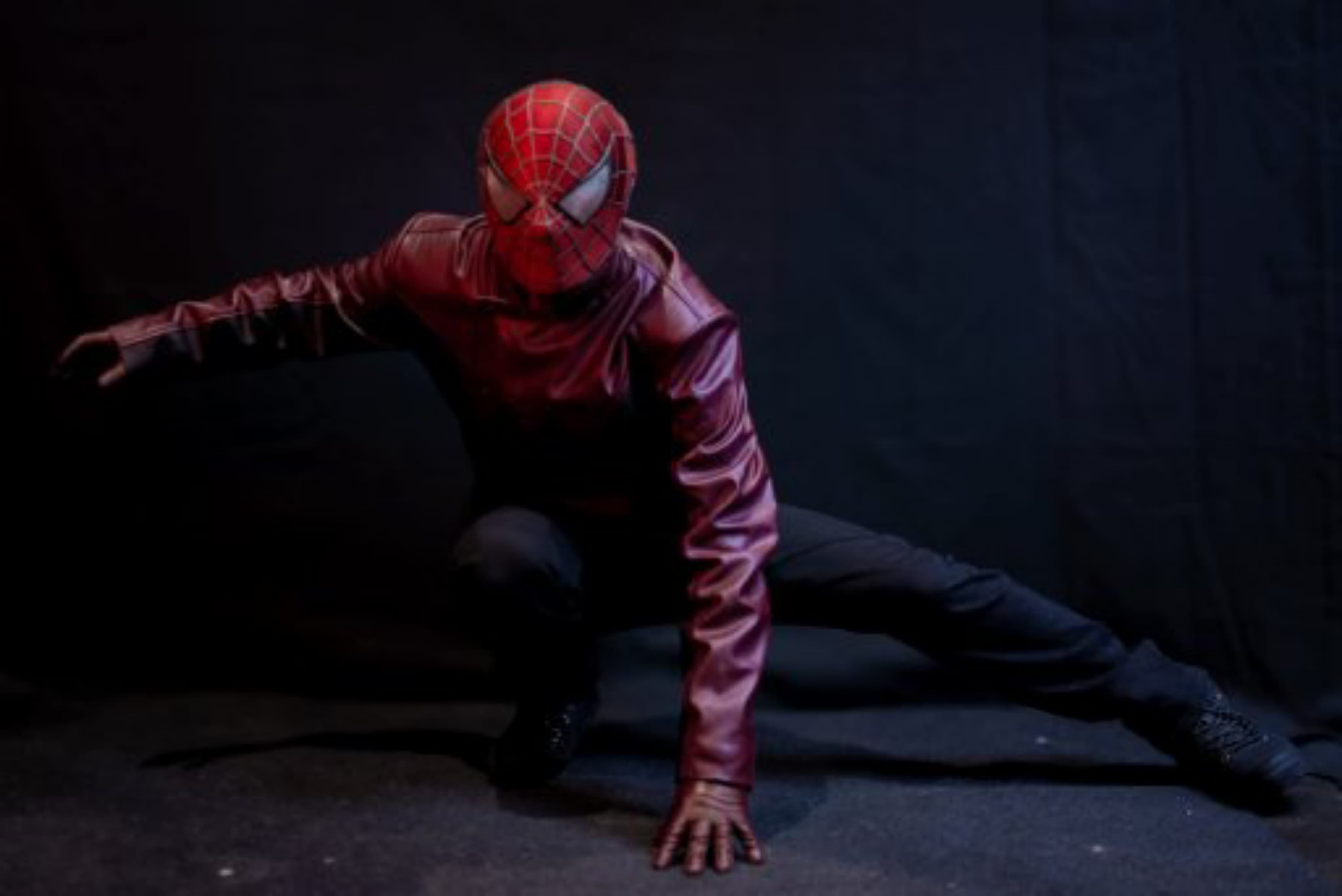 Spiderman Last Stand - Photo 3