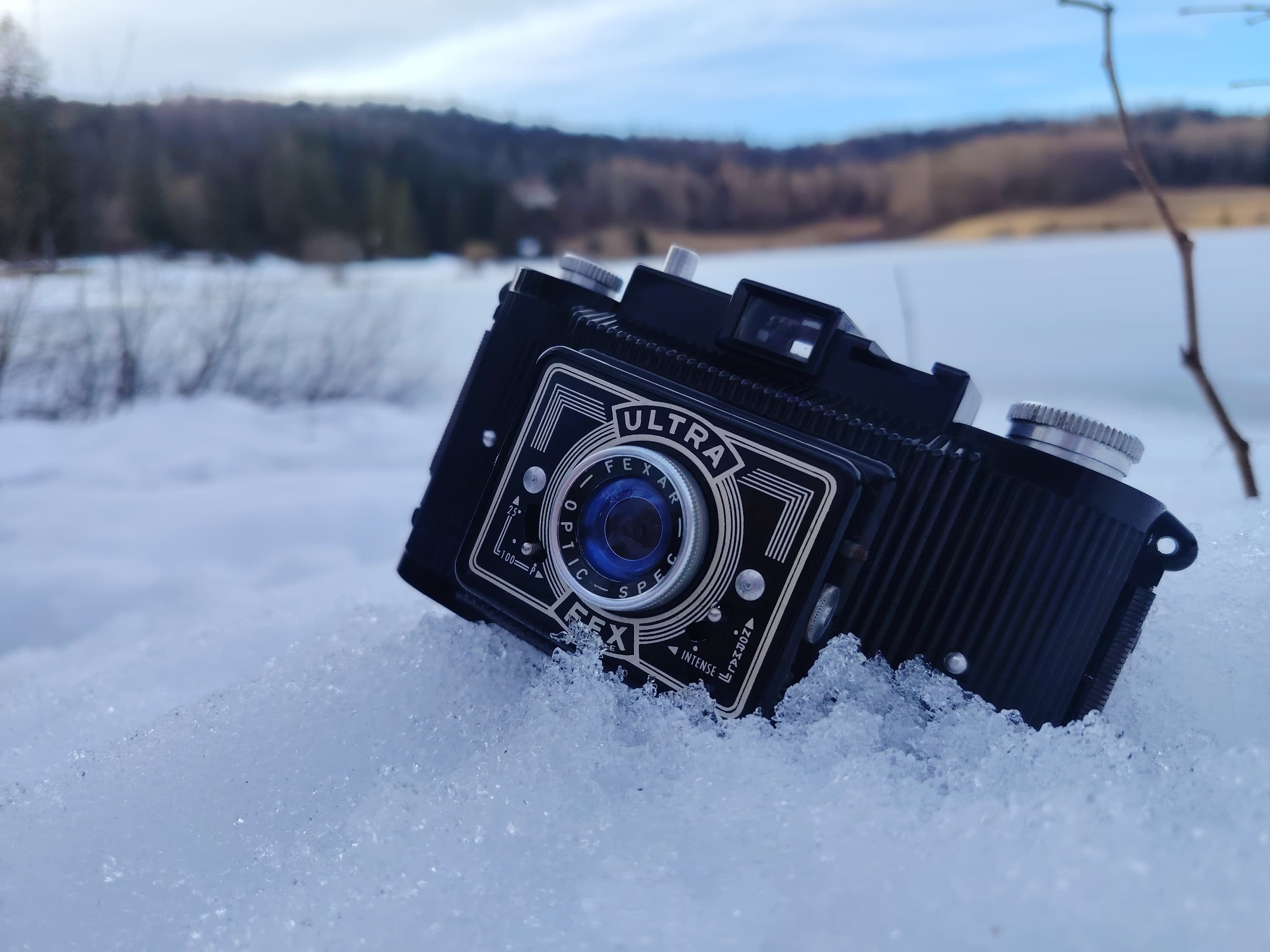 Prof Lavande (Solo) - Photo 7