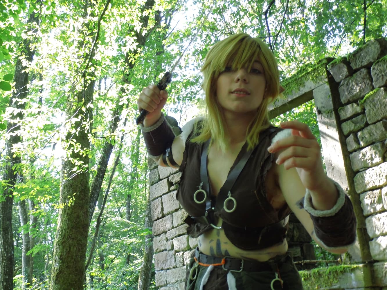 Link barbare  - Photo 4