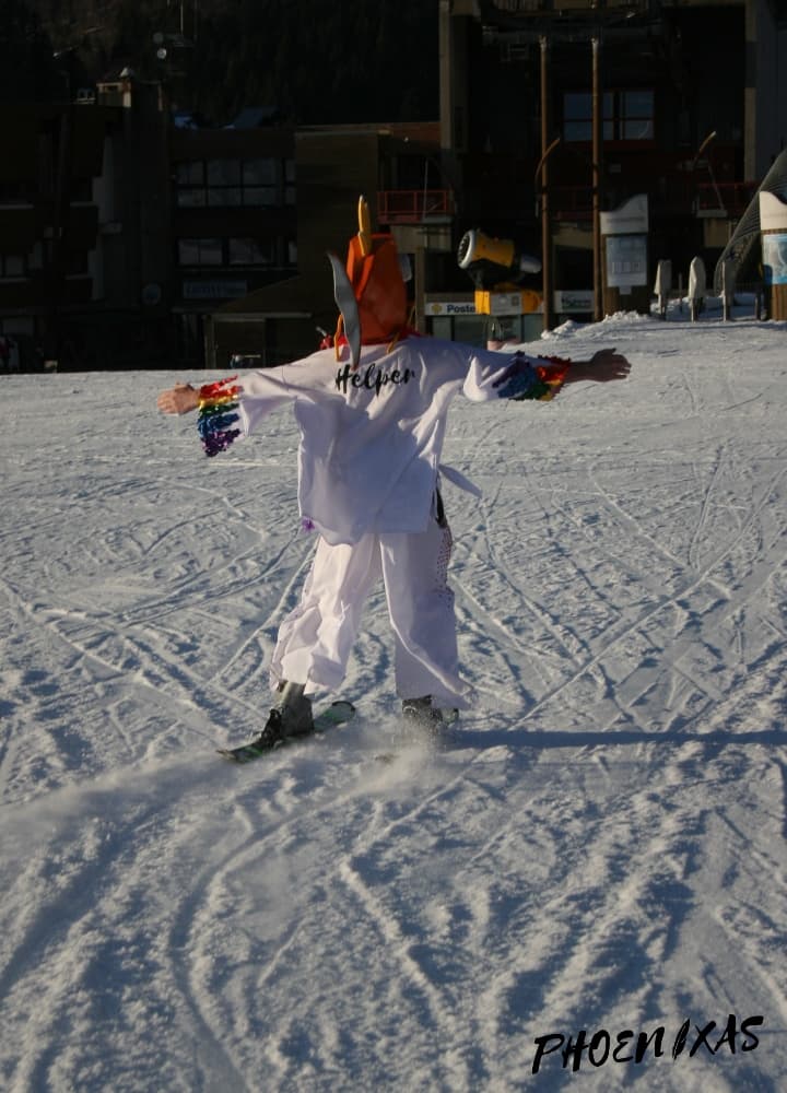 Magipride fait duSki - Photo 13