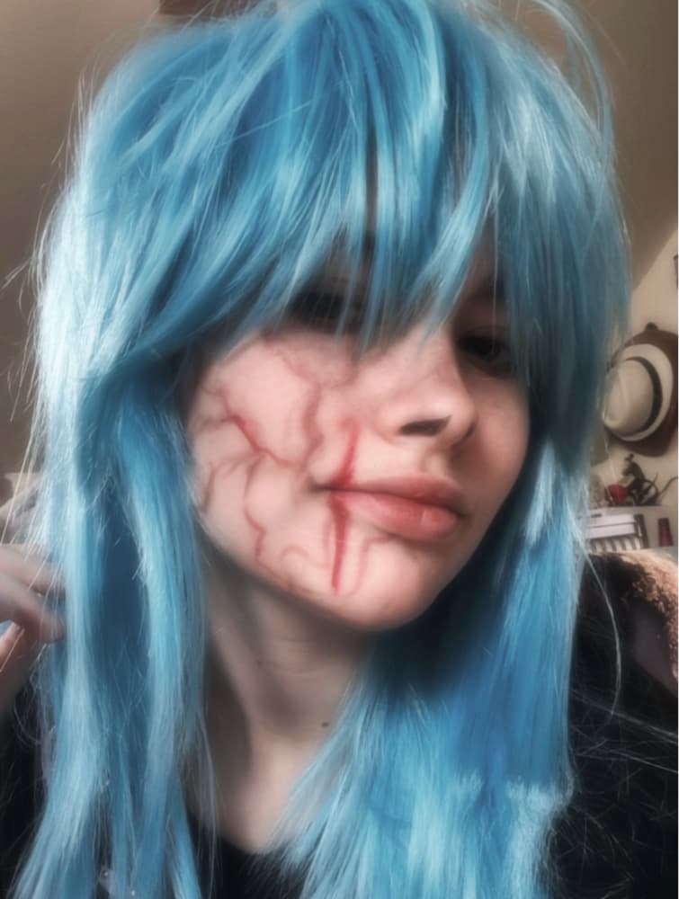 Sally face  - Photo 2