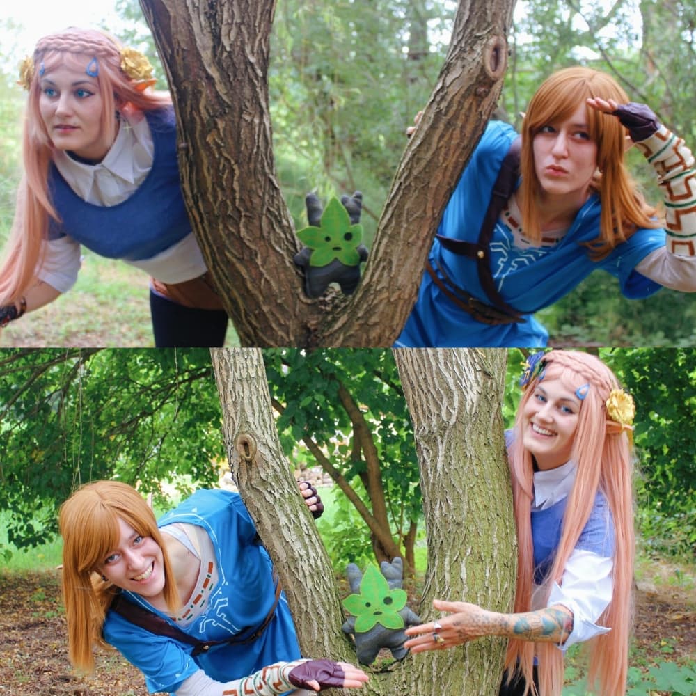 Link (Botw) - Photo 27