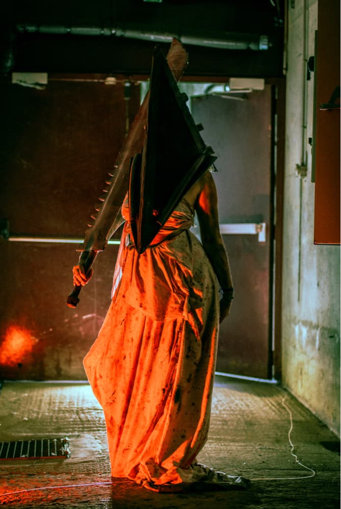Pyramid head  - Photo 1