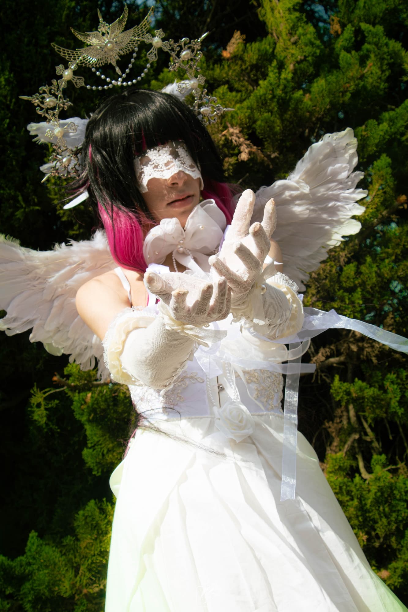 Columbina  - Photo 3