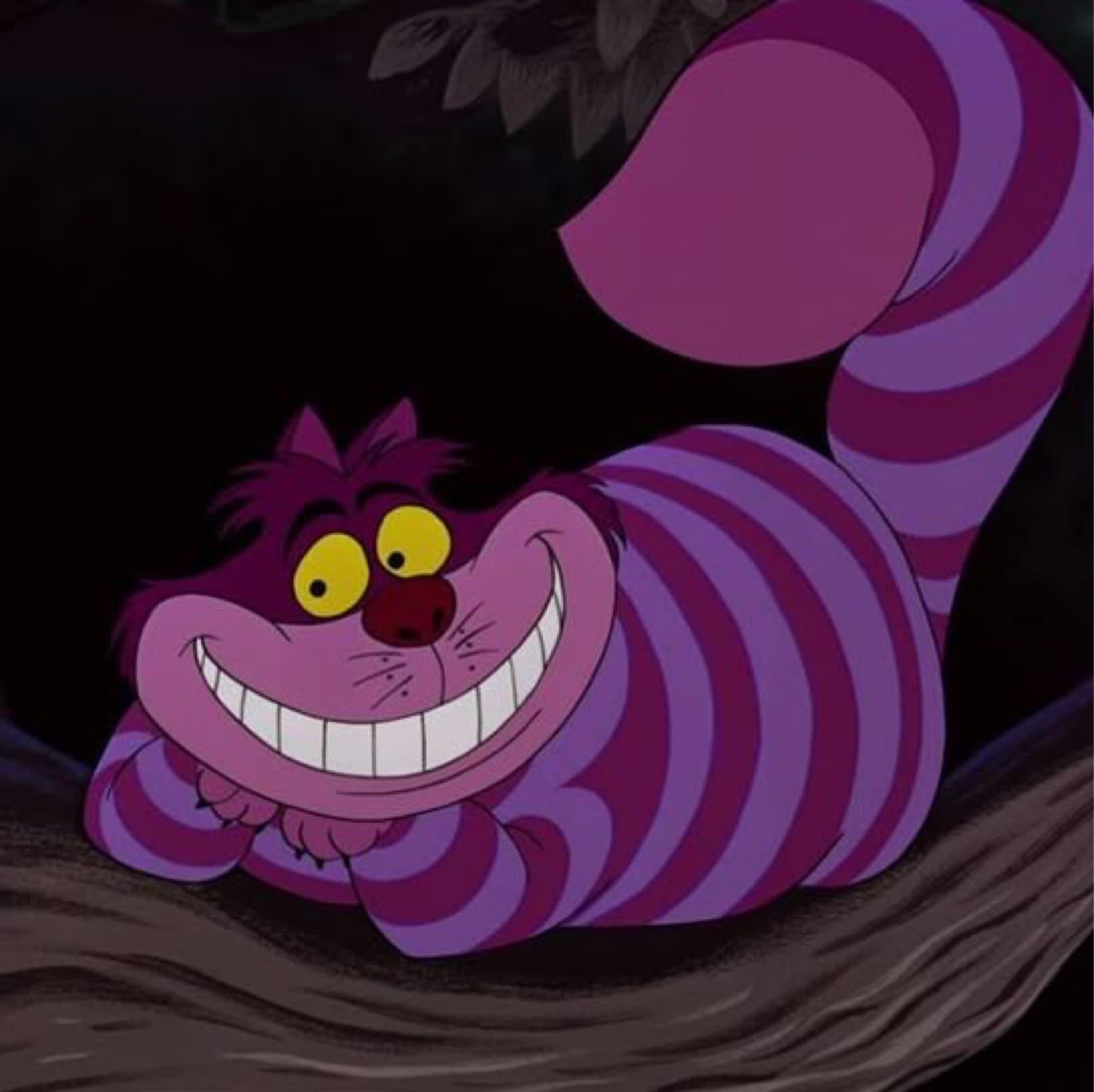 Le chat du Cheshire