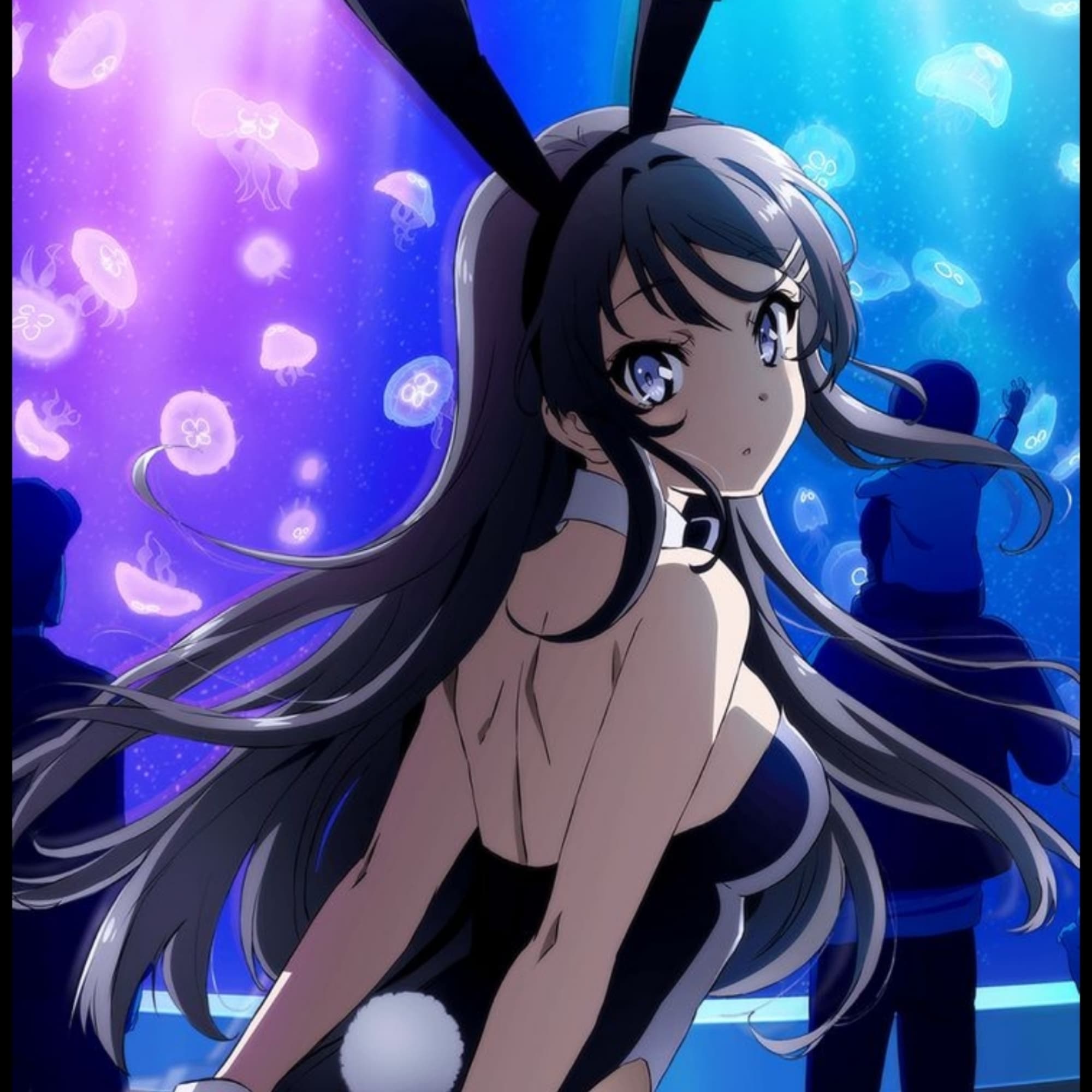 Bunny girl senpai 
